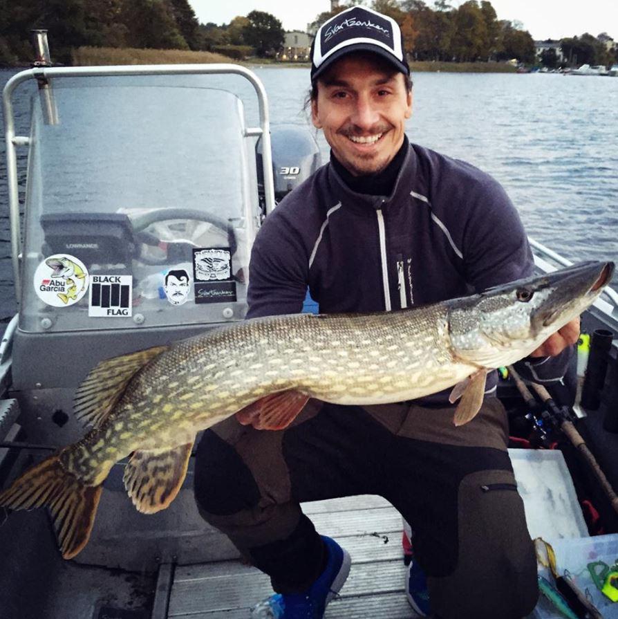  Ibrahimovic has his own fishing lake and once caught an impressive pike