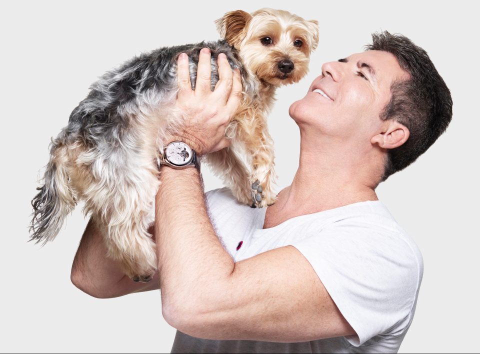  Each of Simon Cowell's Yorkshire terriers get their own fully reclining white leather seat while they lap up Icelandic ­mineral water from porcelain dog bowls