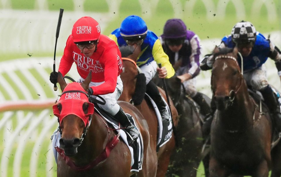  Redzel relished the heavy track at Randwick