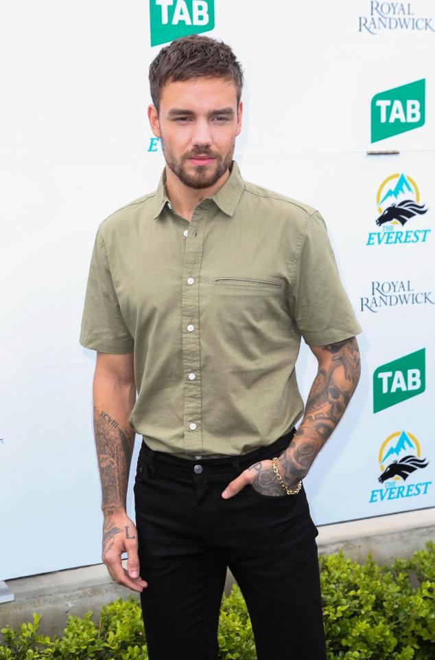  Liam Payne is planning to turn his home into the ultimate bachelor pad