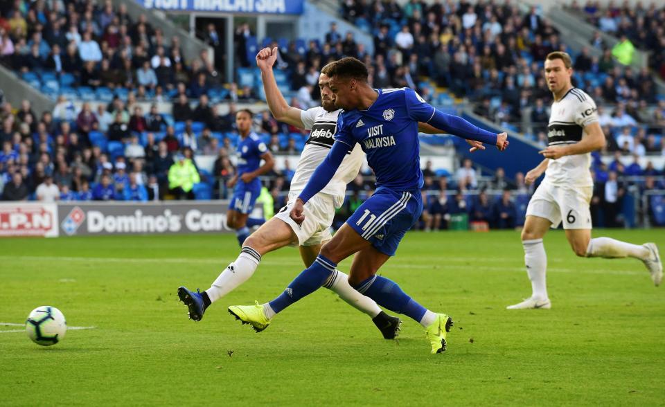  Josh Murphy equalised for the Bluebirds in the 15th minute