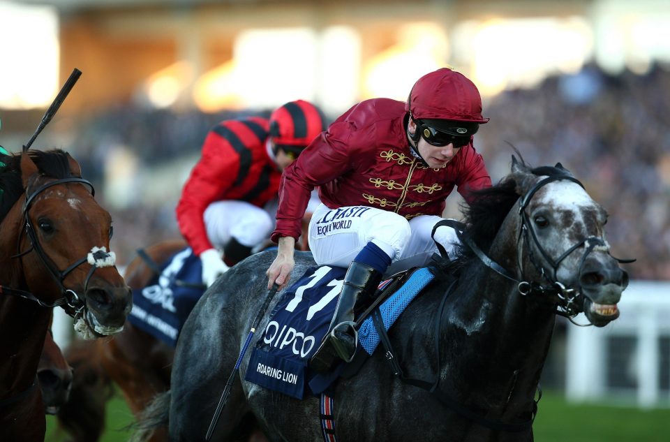  Roaring Lion will have his final start at the Breeders' Cup