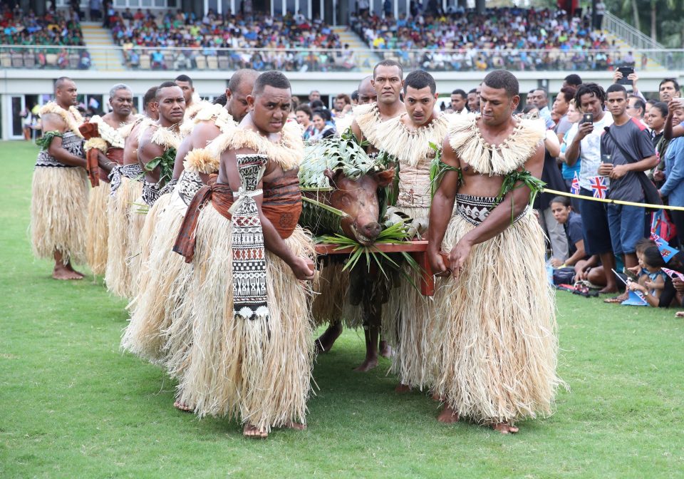  Men carry a roasted pig wrapped in leaves during the welcome ceremony