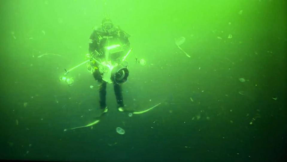  A diver is seen clutching a camera as he floats in the water above the wreck