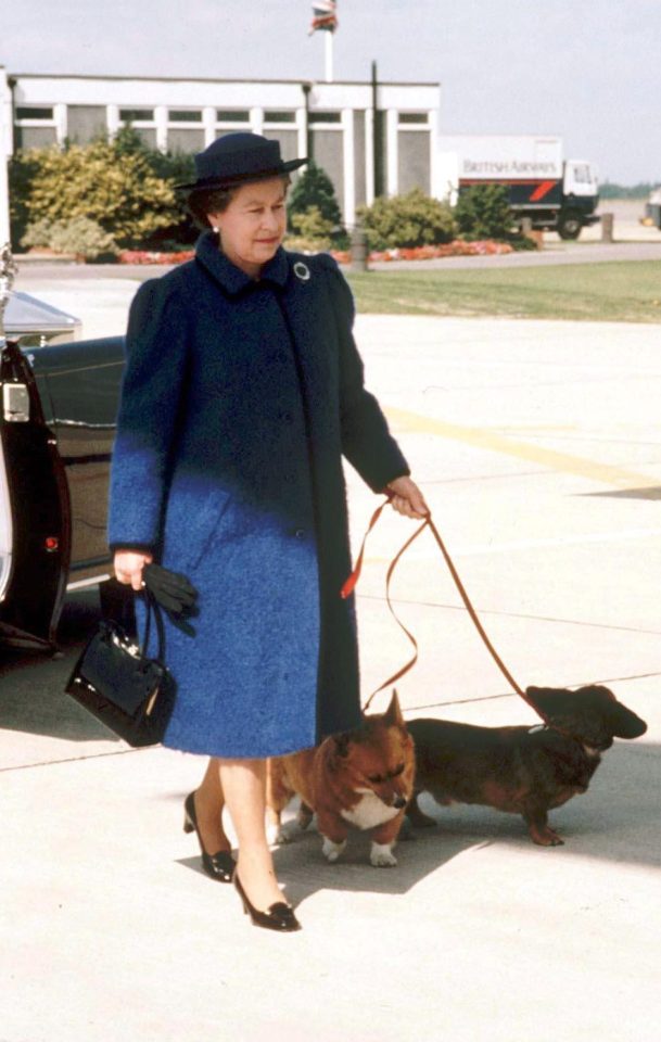  Palace staff carry blotting paper to mop away any accidents - especially during special occasions