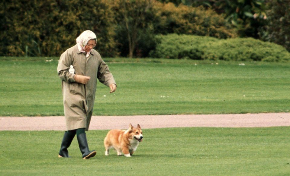  The Queen pictured in 1994 with one of her corgis. Her last one, Whisper, has now passed away