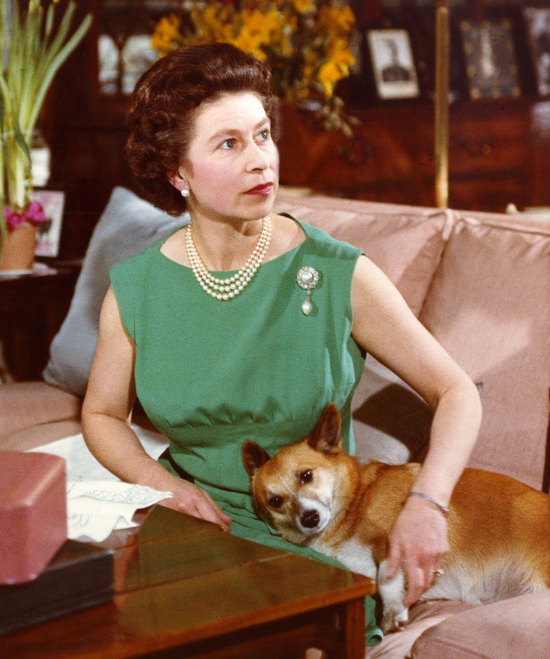  The Queen, pictured with one of her prized pets, has described the dogs as 'family'