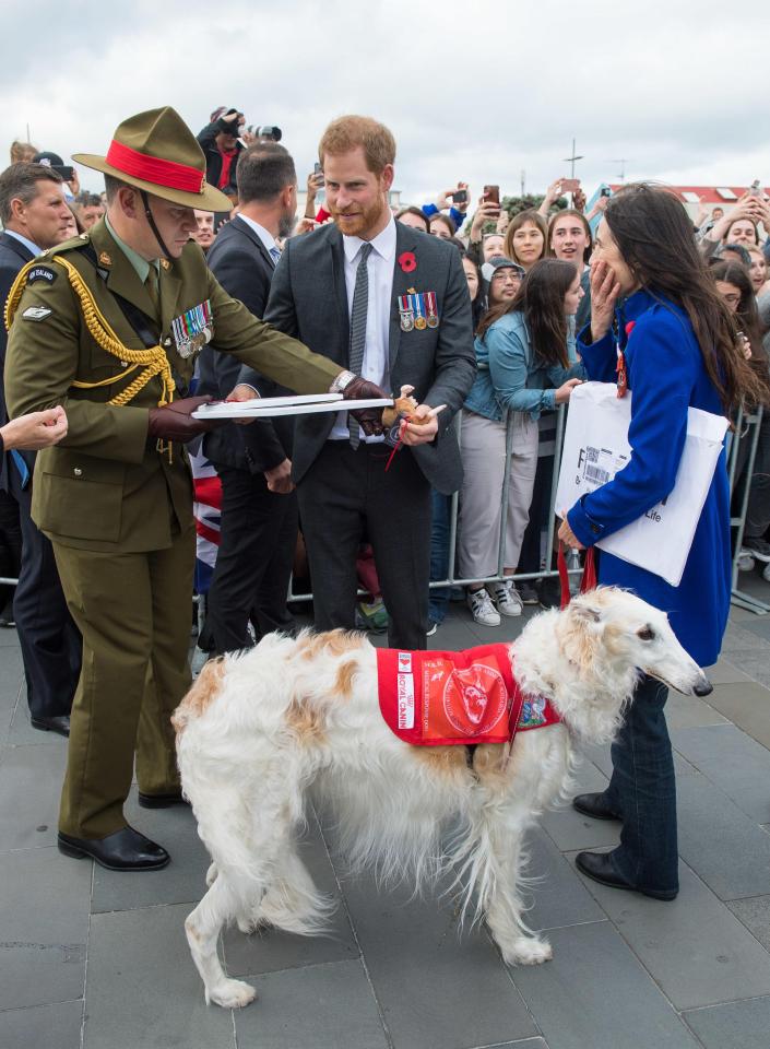  The Duke of Sussex meets a dog named Nina during a public walkabout on a visit to the newly unveiled UK war memorial