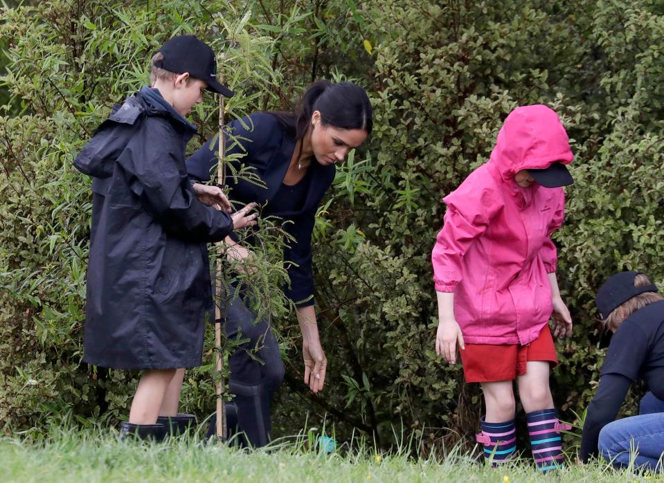  Meghan plants a tree on a a 20-hectare area of native bush to The Queen's Commonwealth Canopy