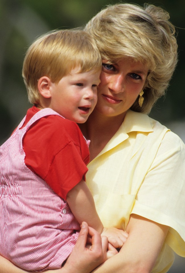  Prince Harry was very close to his mum, Princess Diana