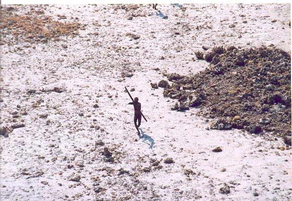  In the wake of the 2004 tsunami this member of the Sentinelese tribe was photographed firing arrows at a helicopter