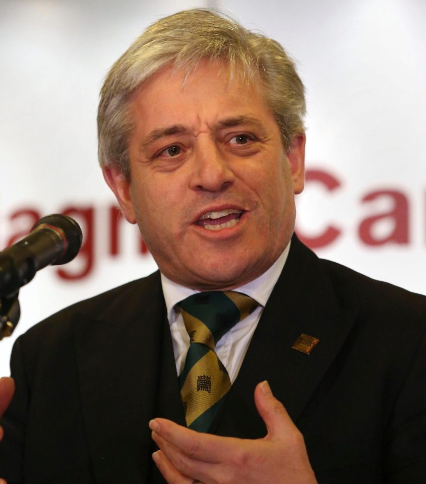  Speaker John Bercow, facing allegations of bullying, will likely step down from his post next year