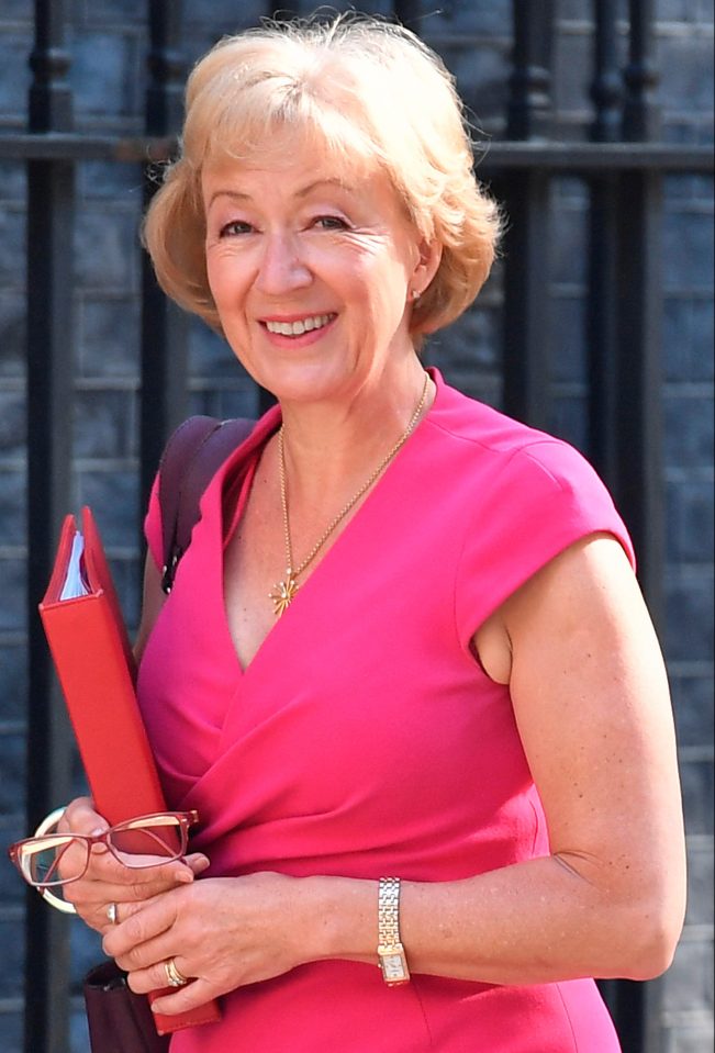  Commons leader Andrea Leadsom is expected to head up the new inquiry