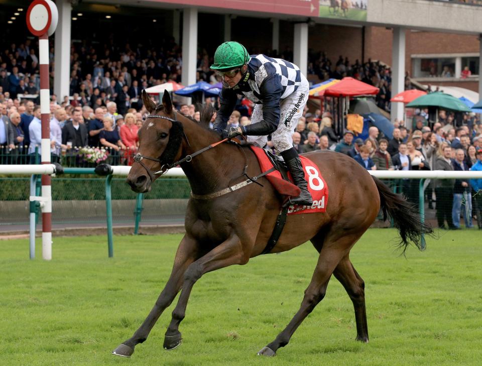  Reshoun can land the big Donny race on Saturday