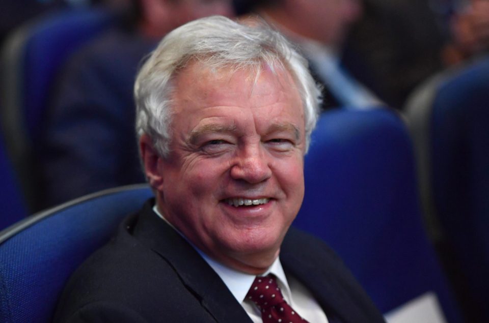  Ex-Brexit Secretary David Davis 'could become the next PM and get a Norway-style deal'