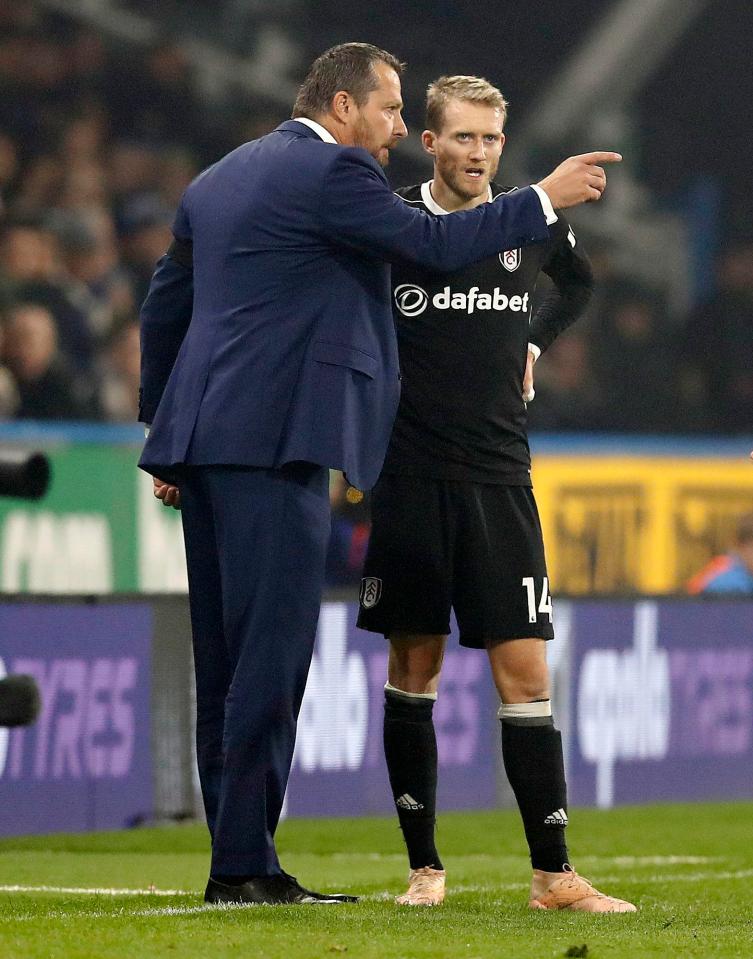  Slavisa Jokanovic's job is under threat at Fulham - despite the fine job he did to get the club promoted