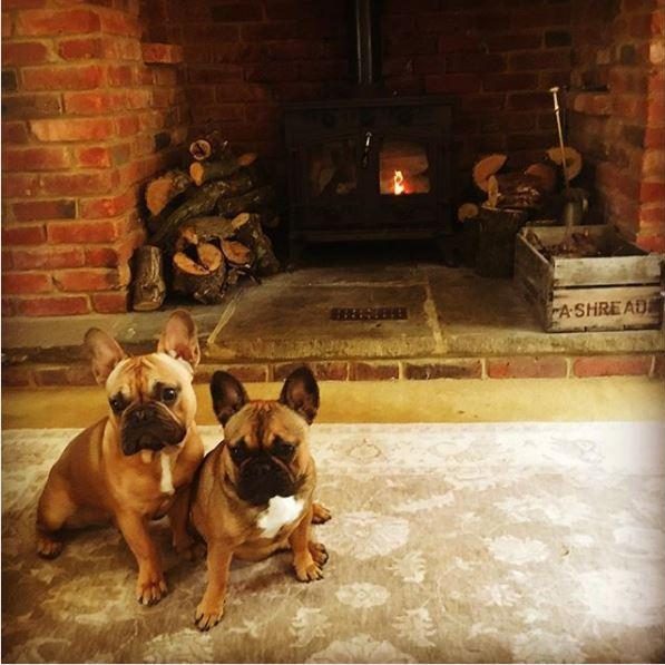  Wally and Bella cosy up beside the roaring log fire