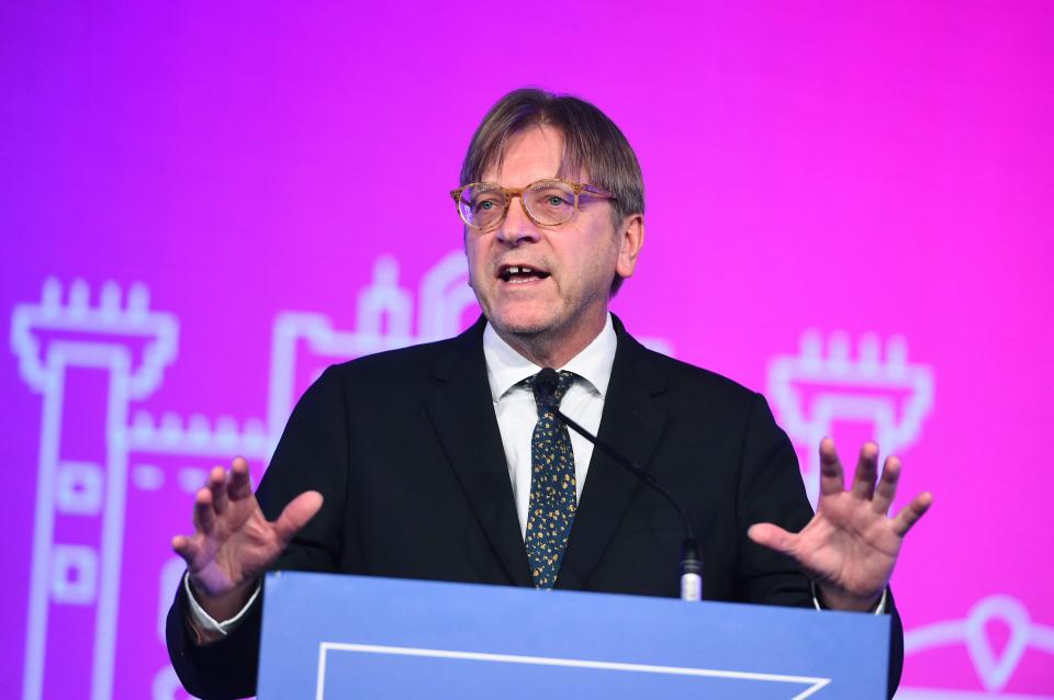  EU Parliament Brexit chief Guy Verhofstadt said the agreement was a 'milestone'