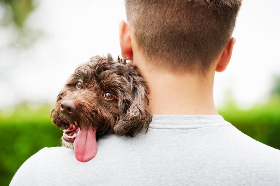  Dog owners reveal their tips for keeping their pup's breath smelling fresh