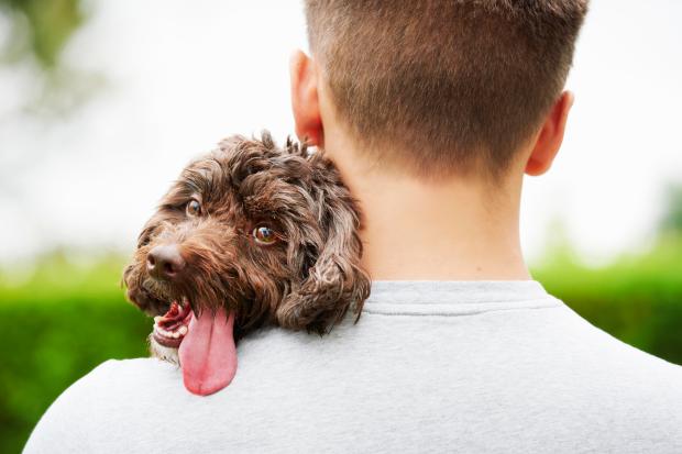 Dog owners reveal their tips for keeping their pup's breath smelling fresh