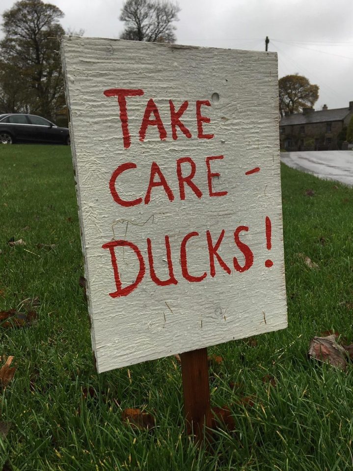  This sign in a village in the Peak District made me giggle