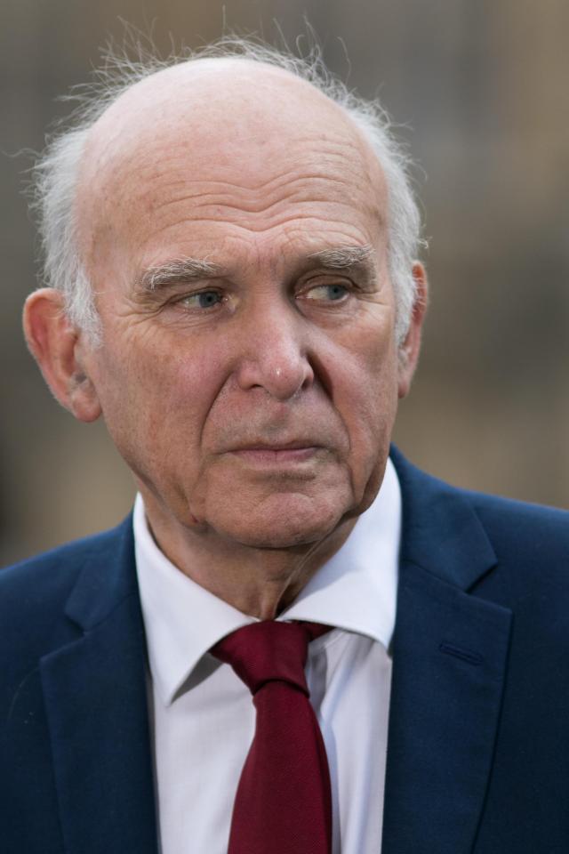  Lib Dem leader Vince Cable has said that Mrs May's opponent in the debate should be a pro-EU campaigner