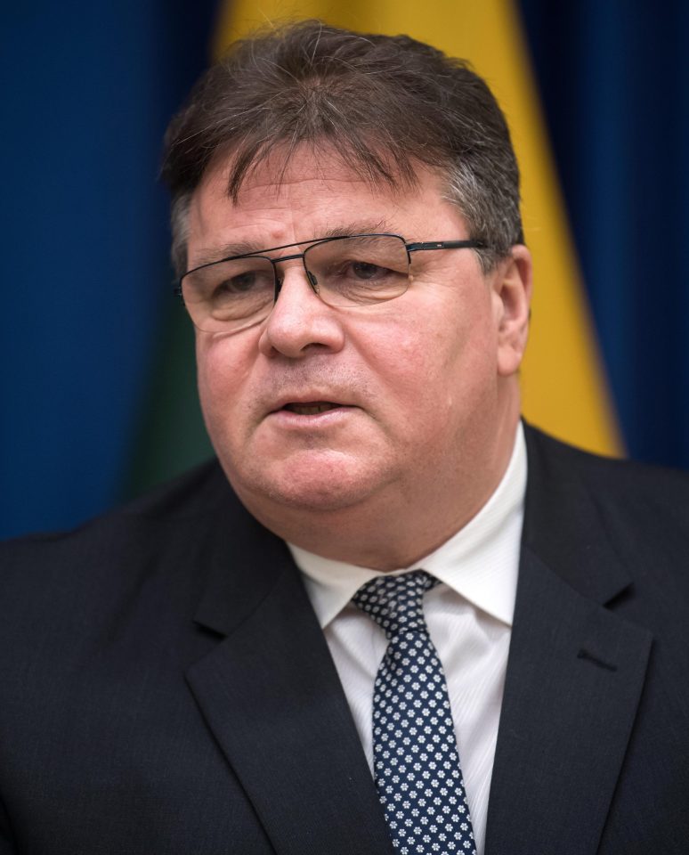  Lithuanian Foreign Minister Linas Linkevičius spoke of his concern in regards to the missiles