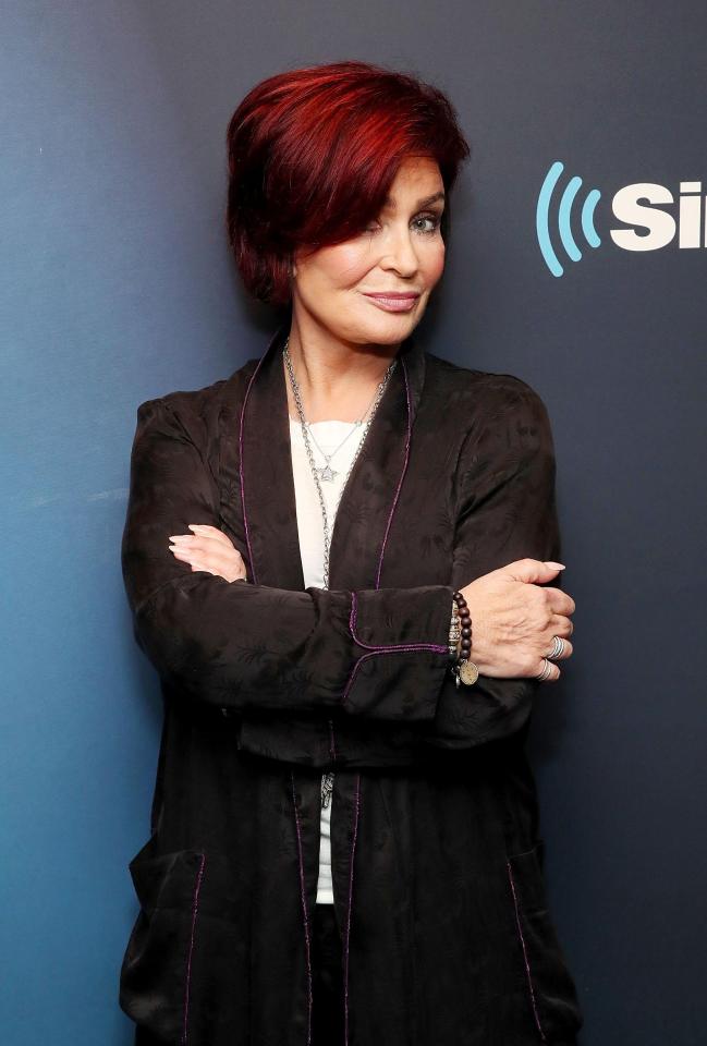  It followed her appearance on the Howard Stern’s radio show, where she described Simon as a 'fat-faced mother f****r'