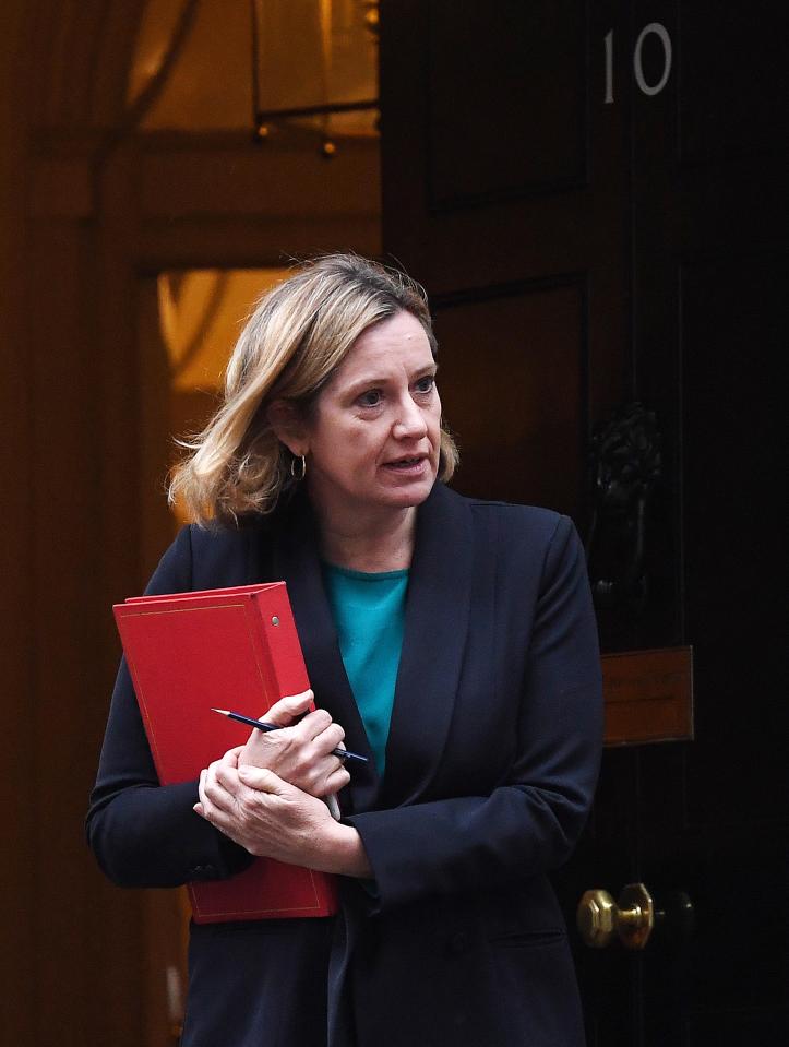  Amber Rudd, recently returned to the Cabinet, is said to be part of a new plot for a softer Brexit