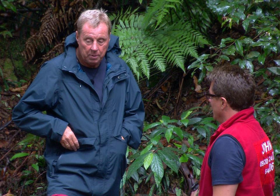  Redknapp, left, has emerged as a popular figure on this year's ITV series