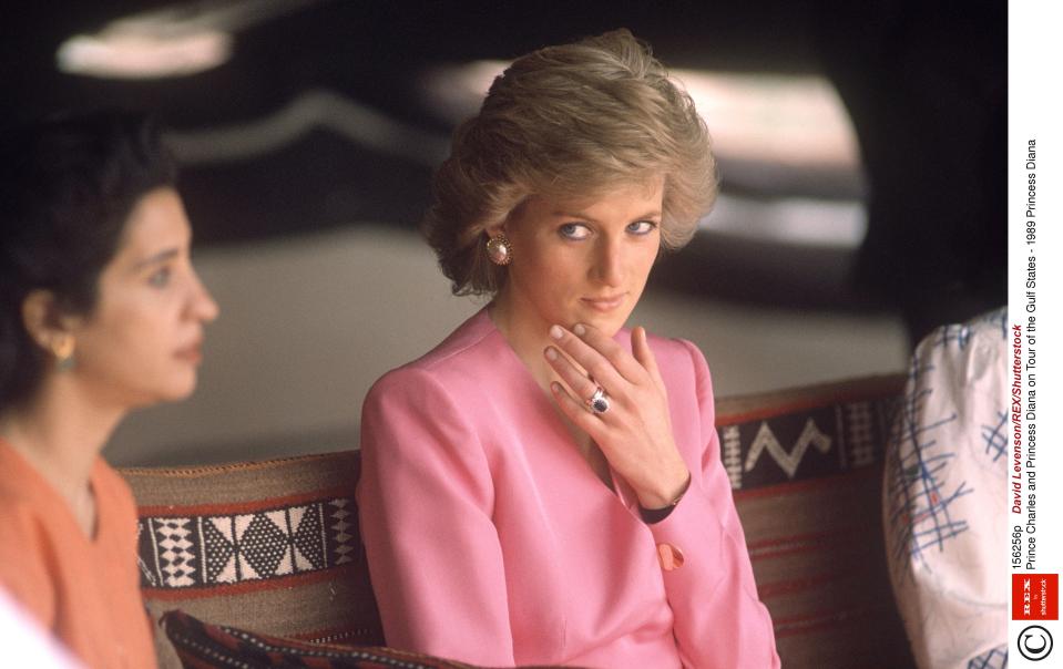  Diana is said to have asked Camilla not to "treat her like an idiot"