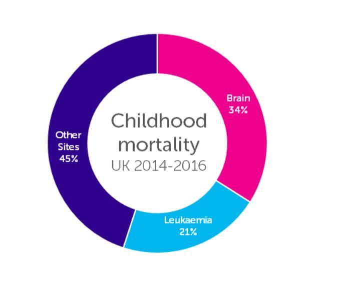  Brain and blood cancers account for the vast majority of childhood cancer deaths