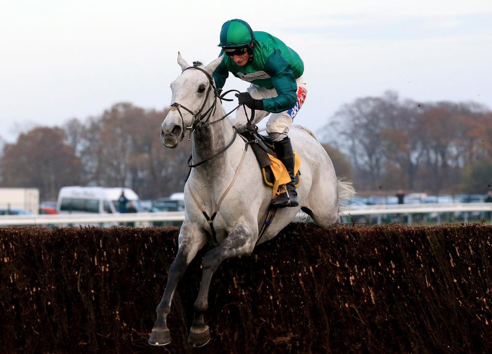  Bristol De Mai is electric jumping the last in the Betfair Chase