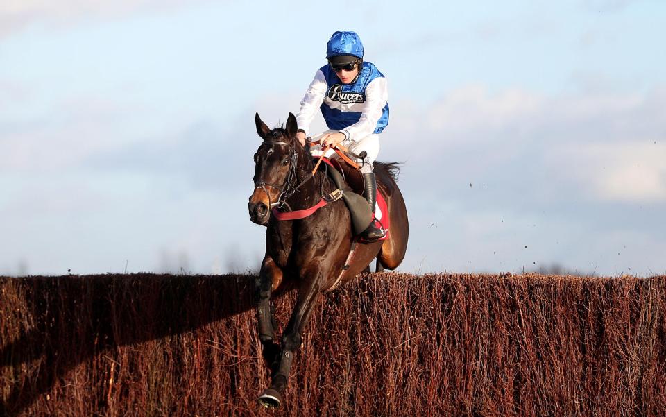  Charlie Deutsch and Aso fly a fence on the way to victory