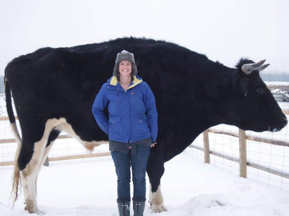 Competition for the title has been fierce, in 2018 a Canadian farmer claimed their cow Dozer had Knickers beat at 6ft 5in