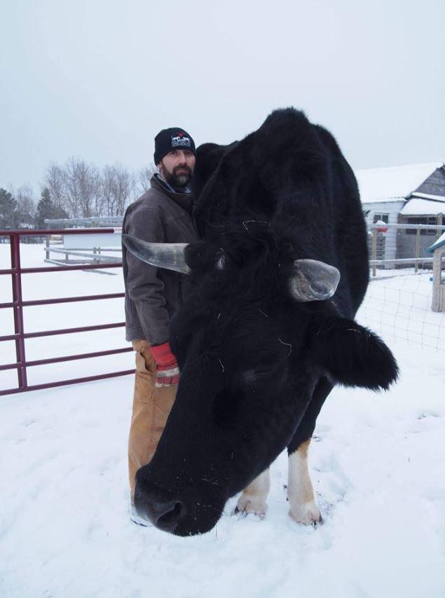  They describe Dozer as a 'gentle giant'