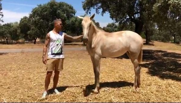  Ramos, 32, pictured with Yucatan at his estate