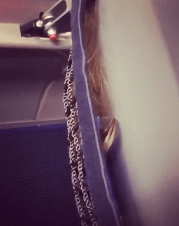  The passenger found the fake hair stuffed into the seat pocked in front of them