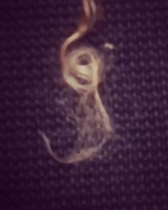  They also found the fake hair on the floor, which hadn't been cleaned