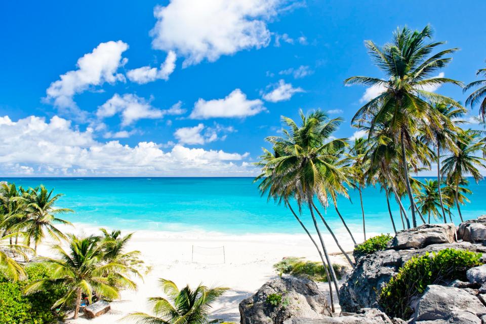  Those sandy beaches of Barbados are calling