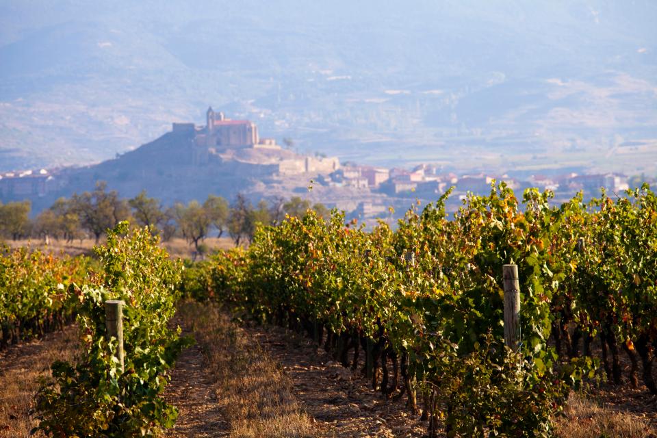  Get away form the tourist spots and enjoy a moment of bliss in the vineyards