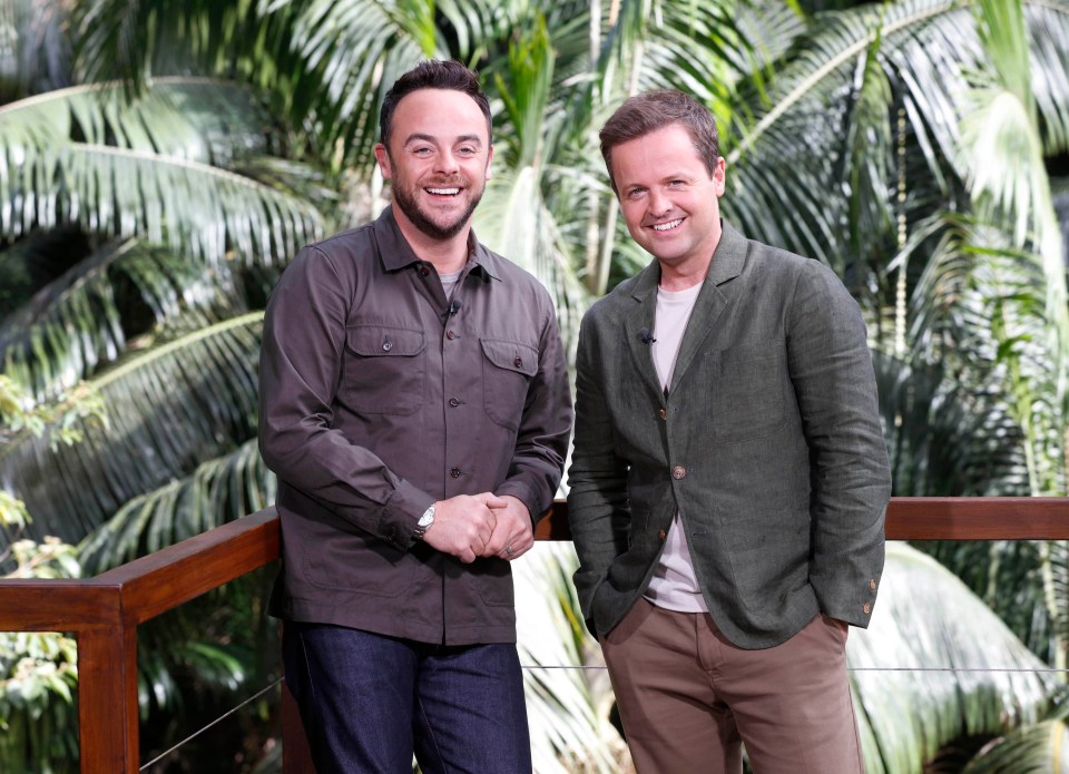 Ant McPartlin, Declan Donnelly, I'm A Celebrity