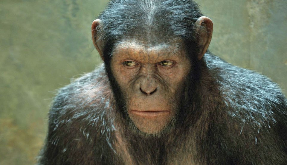 Andy Serkis played Ceasar in the Planet of the Apes remake