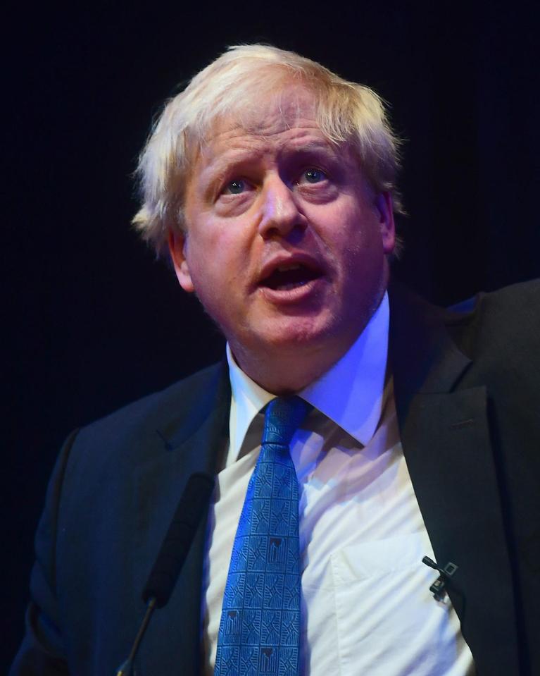  Boris Johnson has begun openly campaigning to replace Theresa May