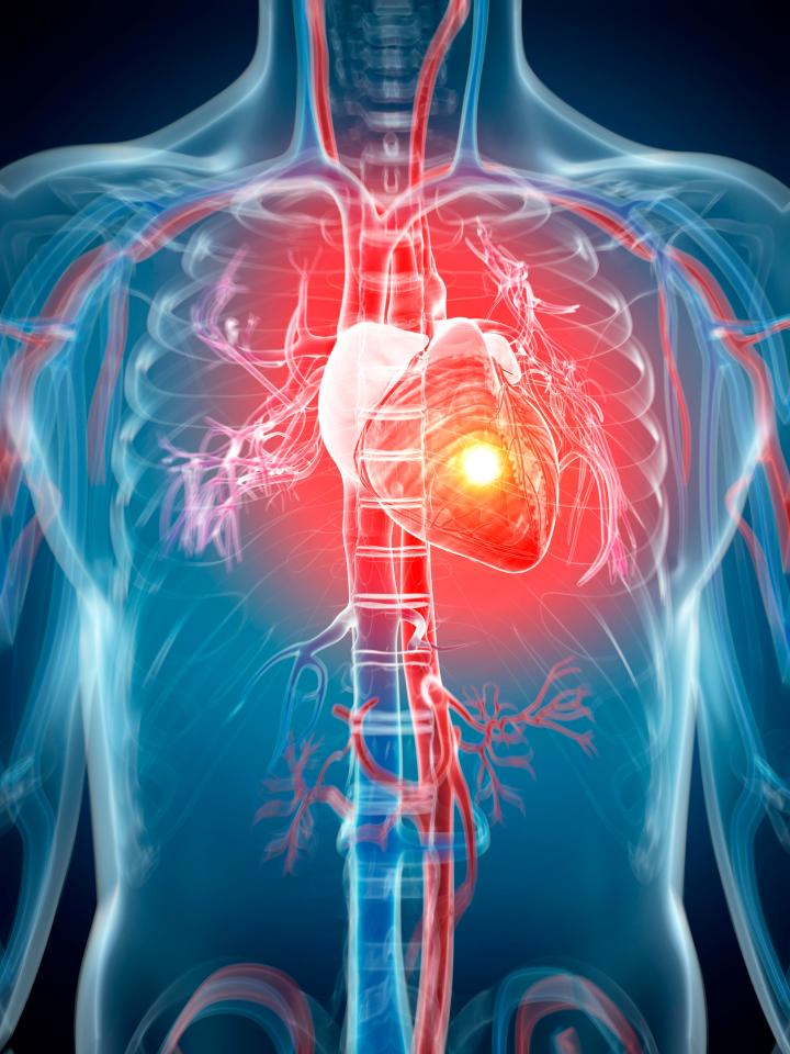 The jab rewound elderly mice's heart’s age by the human equivalent of more than ten years