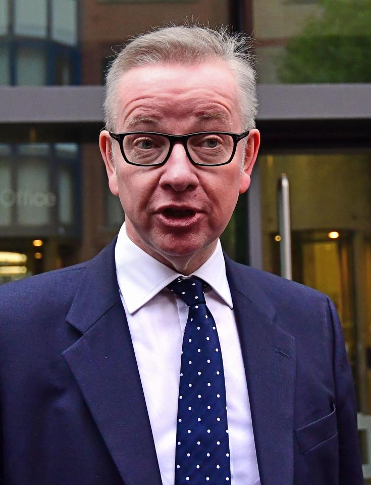  Michael Gove was seen as disloyal by MPs after the last leadership battle