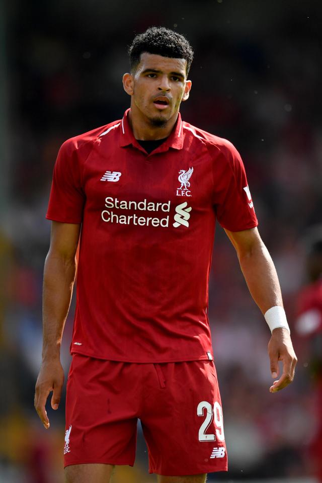  England international Solanke is yet to feature for the Reds under Jurgen Klopp this season