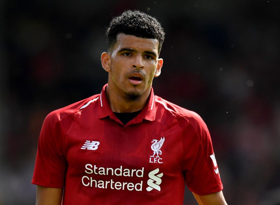  Dominic Solanke has undergone a medical at Crystal Palace