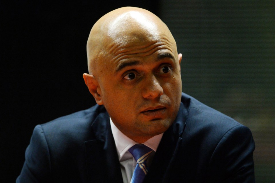 Sajid Javid, the son of a Pakistani migrant bus driver, would also pitch himself as the unity candidate