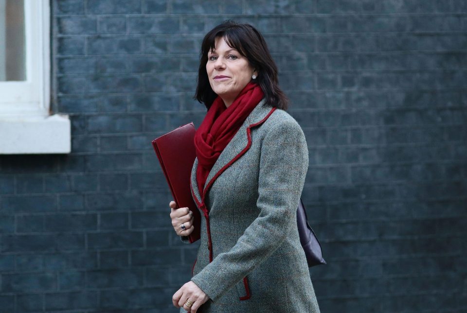  Claire Perry warned that the Big Six could ruin their reputations if they challenged or attempted to delay the cap